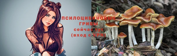 бошки Беломорск