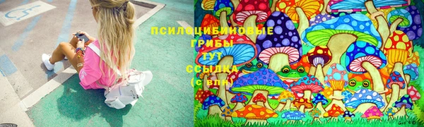 бошки Беломорск